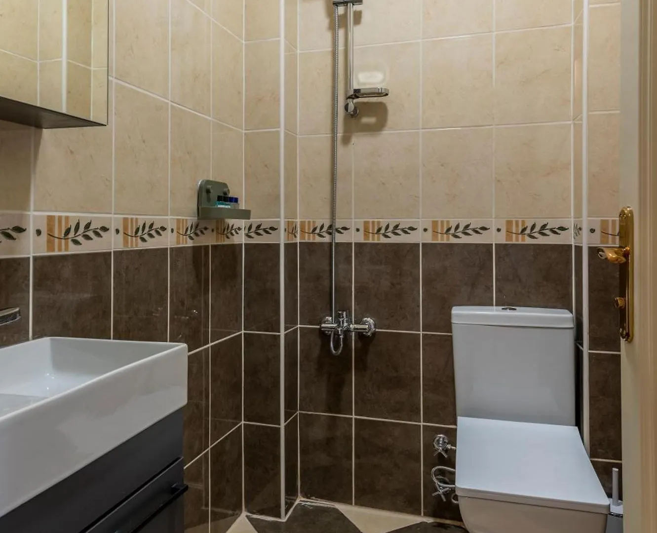 The Stylish Townhouse - City Center Istanbul Apartment